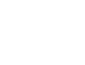 <strong>Flux AI</strong>
