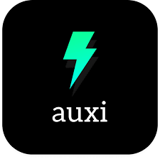 <strong>Auxi AI生成PPT</strong>