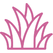 <strong>多种草Ai</strong>