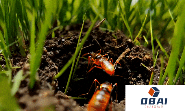 AI视频老牌选手Runway出手了,深夜发布Gen-3,画面细节直接到达了电影级画质 AI视频老牌选手Runway出手了,深夜发布Gen-3,画面细节直接到达了电影级画质