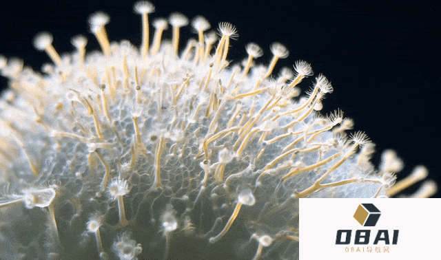 AI视频老牌选手Runway出手了,深夜发布Gen-3,画面细节直接到达了电影级画质 AI视频老牌选手Runway出手了,深夜发布Gen-3,画面细节直接到达了电影级画质