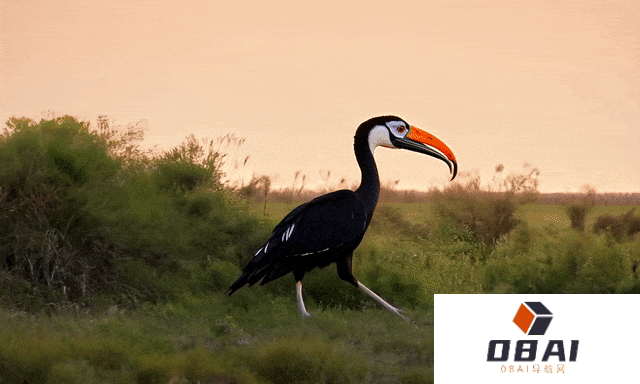 AI视频老牌选手Runway出手了,深夜发布Gen-3,画面细节直接到达了电影级画质 AI视频老牌选手Runway出手了,深夜发布Gen-3,画面细节直接到达了电影级画质