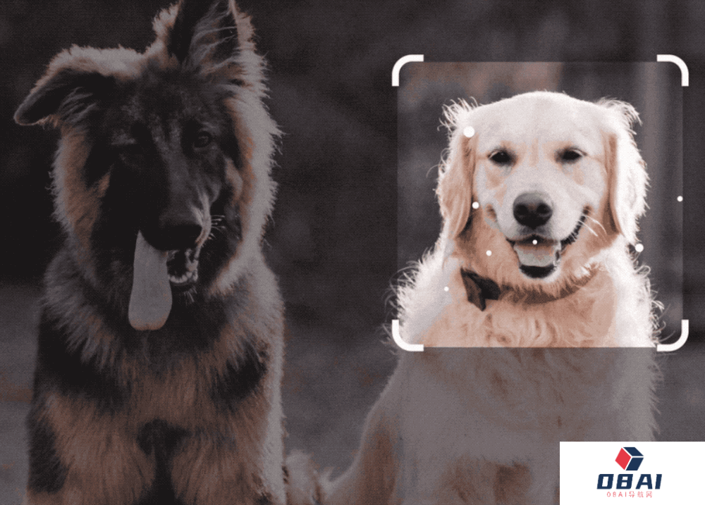 谷歌杀疯了,深夜放出生成式AI全家桶! 谷歌杀疯了,深夜放出生成式AI全家桶!