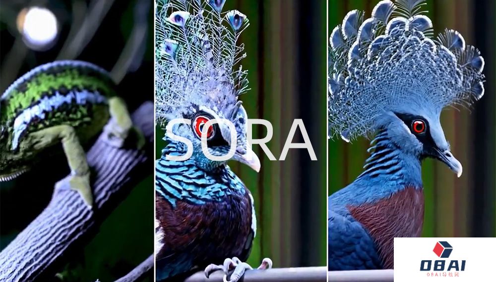 Sora是什么？这篇综合指南为你说清楚！