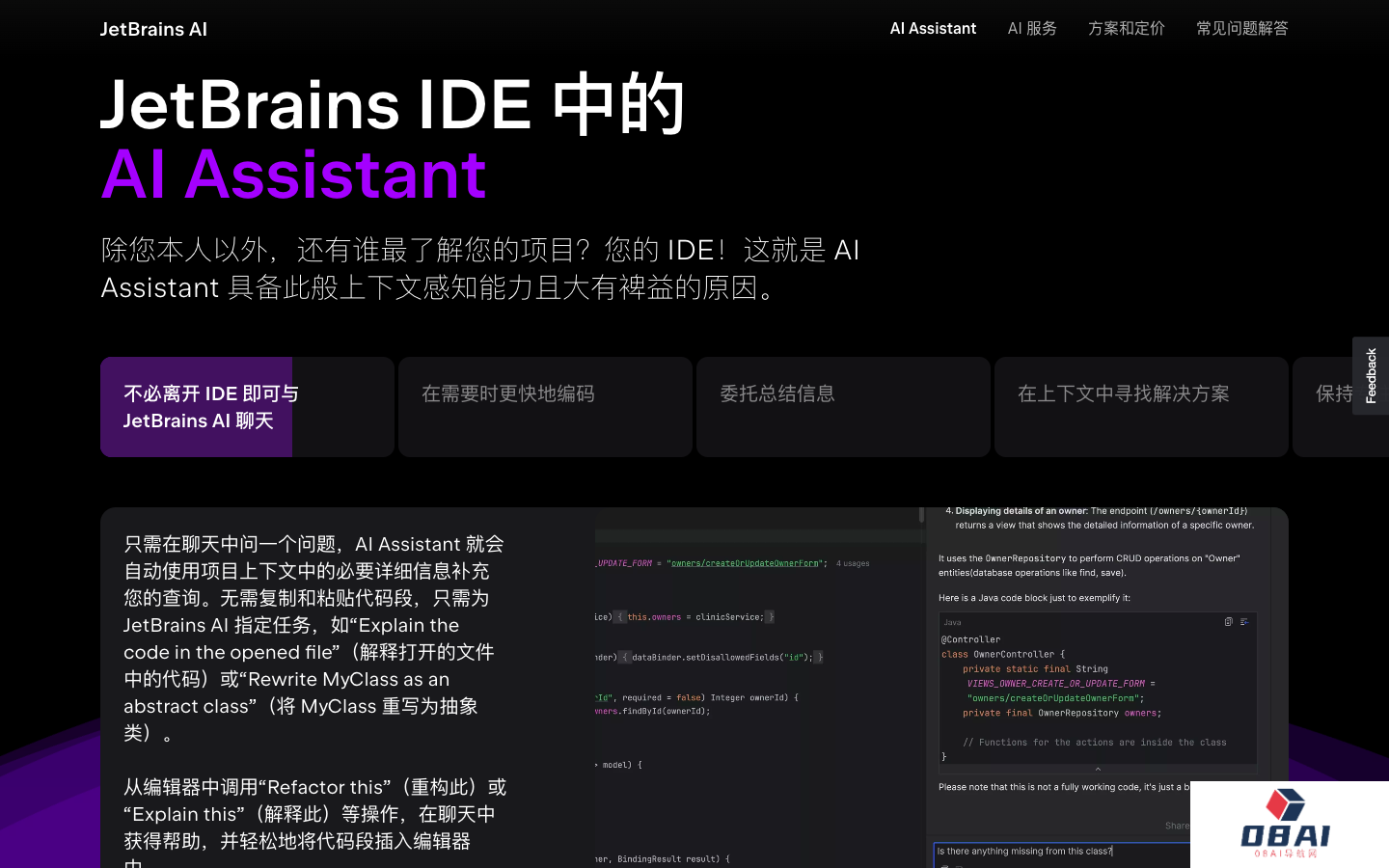 JetBrains AI编程