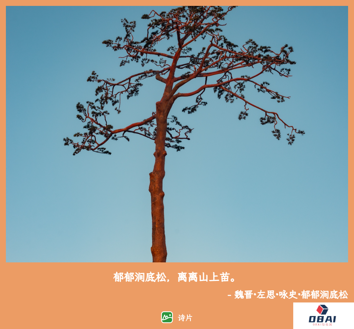 诗片 – AI 给照片匹配诗句