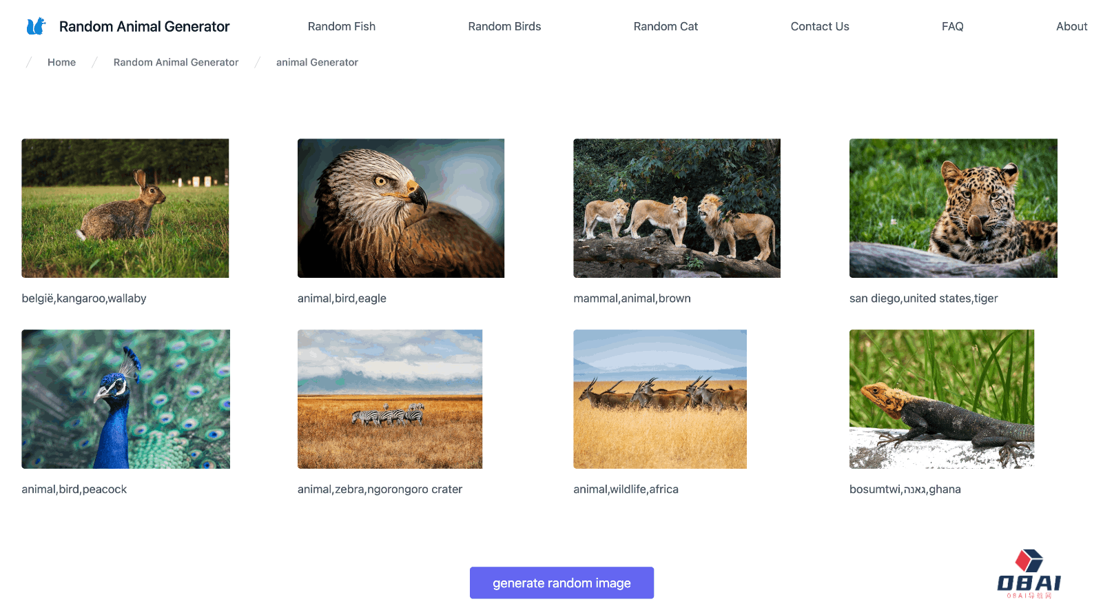 随机生成动物图片 Random Animal Generator
