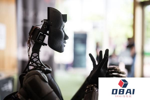 与AI相伴这一年