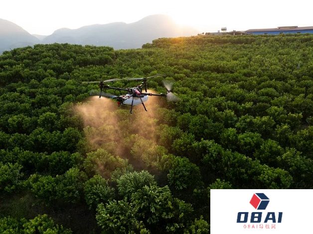 潮涌珠江 粤港澳大湾区掀起“人工智能+”浪潮