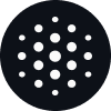 <strong>BLACKBOX</strong>