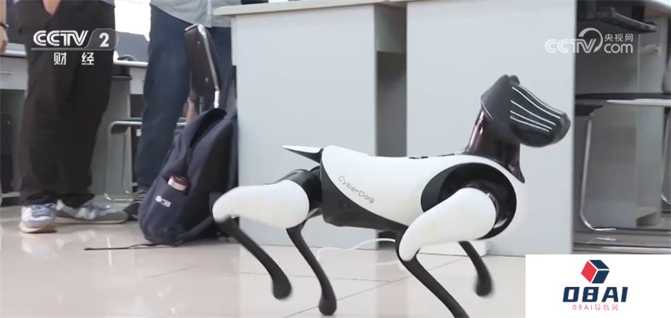 我国推动“AI+X”跨界人才培养 人工智能就业前景让相关专业热度持续攀升