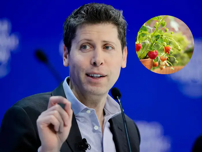 OpenAI正在开发下一代GPT「草莓」项目丨智谱AI宣布GLM-4-Flash调用免费丨马斯克发文力挺加州AI监管法案