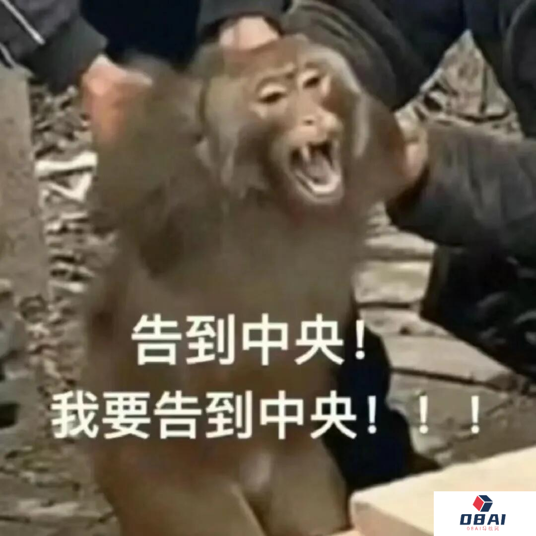 AI在用 | AI文风测试火了，林夕的词风竟像大冰，网友：悬着的心终于死了