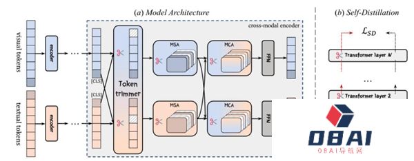 度小满联合哈工大研发自适应剪枝算法，提升多模态大模型计算效率！