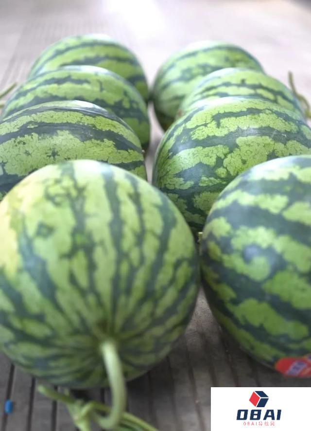 AI挑西瓜靠谱吗？记者实测被震惊：这结局真猜不到！