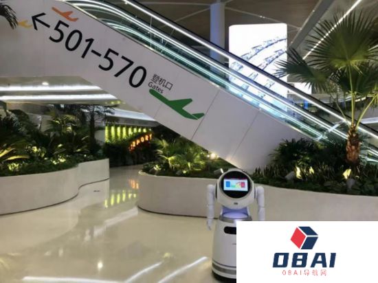 AI观察｜“人工智能+”行动，如何推动生产力深层次变革