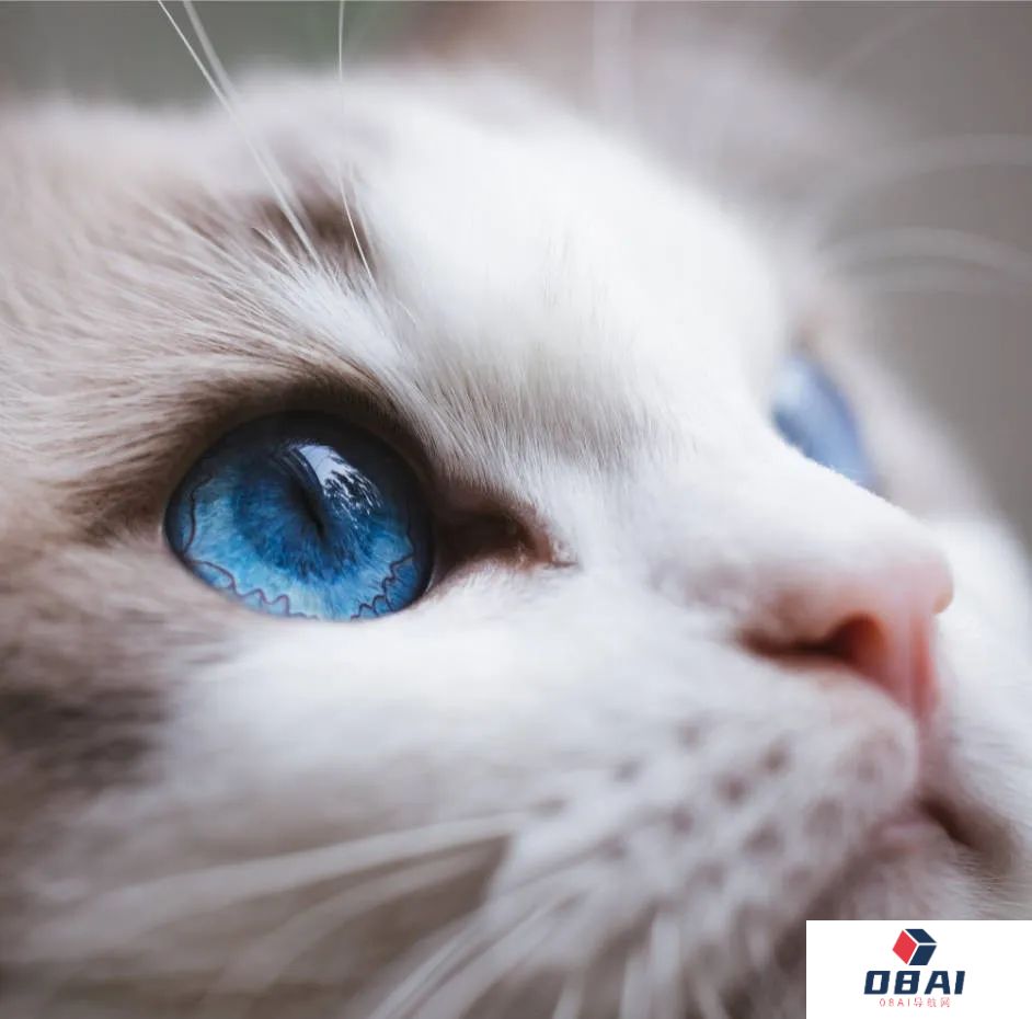 科技部发文规范AI使用 禁用AIGC直接生成申报材料