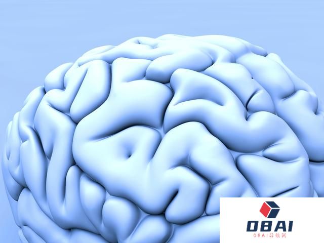 AIGC？如何用AI探究人类大脑中的神经网络及其意义