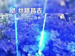 全球首款棉花激光打顶机器人亮相：准确率达98.9%，作业效率10倍于人工