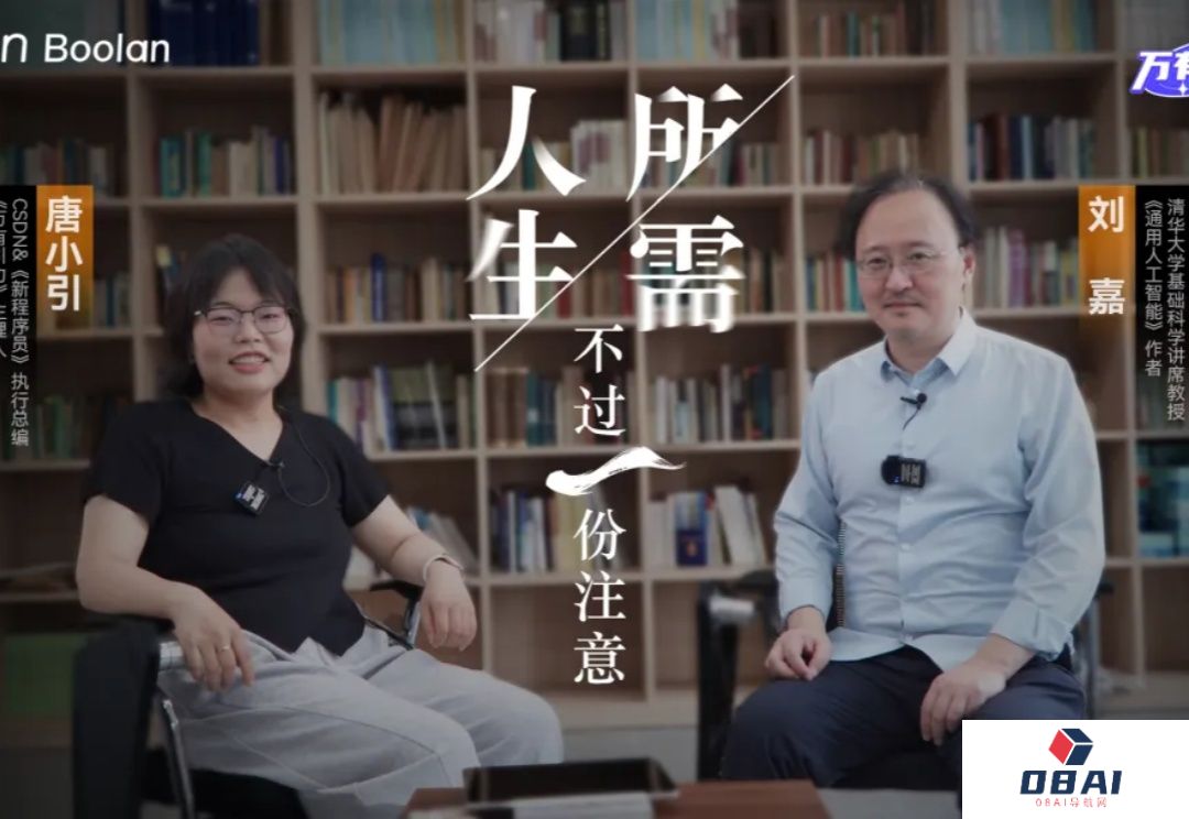 为什么AI干不了体力活——对话清华大学教授刘嘉|万有引力