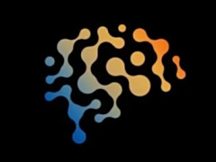 蔚来：世界模型NWM在小路、窄路、人车混行道路上的表现格外出色