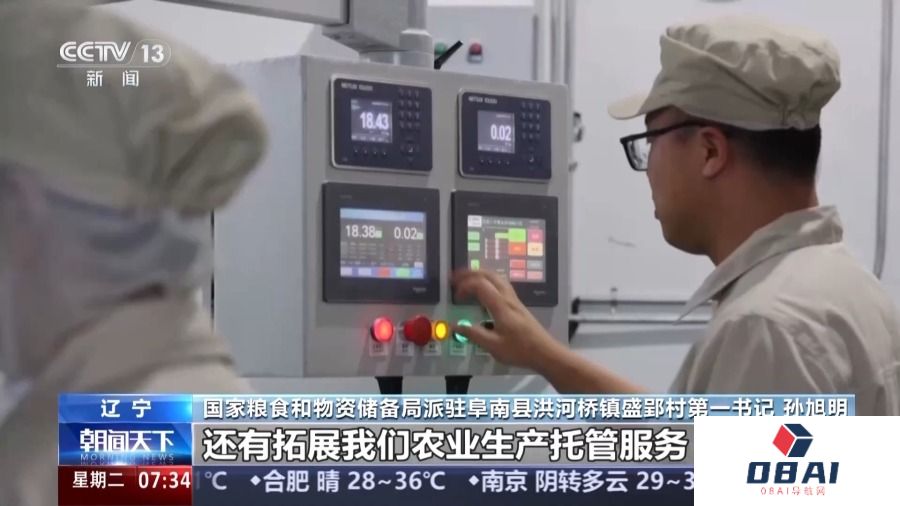 AI助手+定点帮扶 粮食产业迎来“更新进行时”