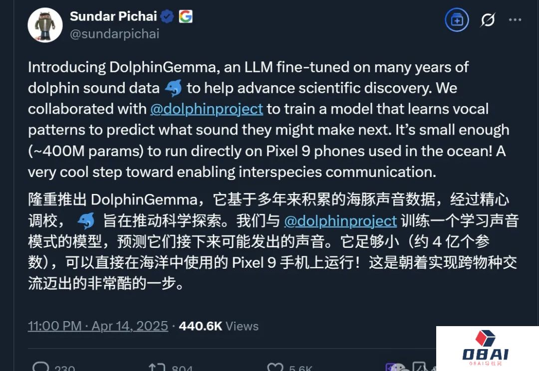 海豚语言被谷歌大模型破译！DolphinGemma打开跨物种交流大门，哈萨比斯：下一个是狗