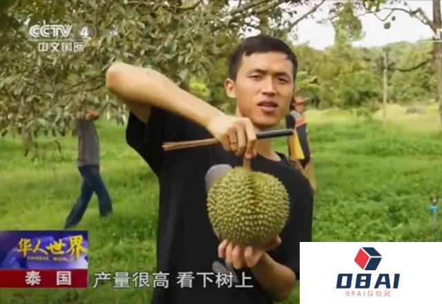 中国年轻人，开始用AI在东南亚种榴莲