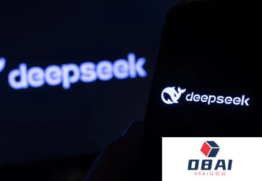 一场关于DeepSeek的高质量闭门会：比技术更重要的是愿景